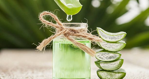 Comment prendre Aloe Vera Herbalife ?